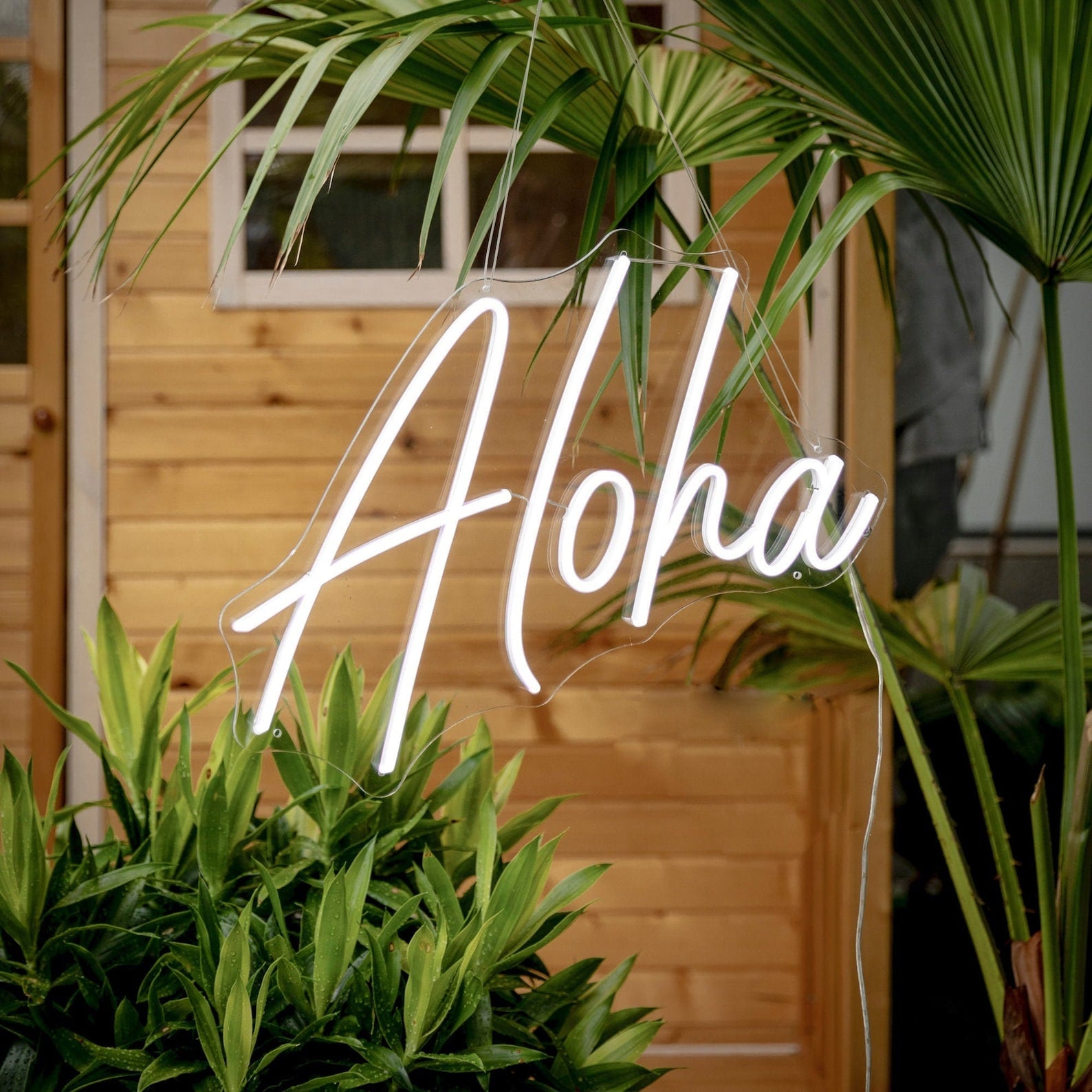 Aloha - Neonschild